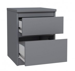 2.03.03.050.4 КАСТОР тумба 2 ящика RU серая в Челябинске - cheliabinsk.ok-mebel.com | фото 2