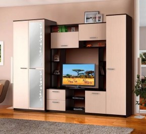 АЛЕКСАНДРА 10 Стенка в Челябинске - cheliabinsk.ok-mebel.com | фото 2