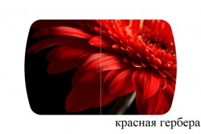 БОСТОН - 2 опоры Триумф в Челябинске - cheliabinsk.ok-mebel.com | фото 50