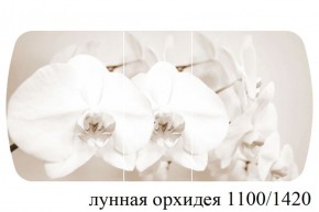 БОСТОН - 3 Стол раздвижной Лунная орхидея 1100/1420 опоры Триумф в Челябинске - cheliabinsk.ok-mebel.com | фото 3