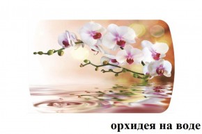 БОСТОН - 3 Стол раздвижной Орхидея на воде 1100/1420 опоры Триумф в Челябинске - cheliabinsk.ok-mebel.com | фото 2