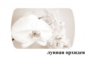 БОСТОН опоры Триумф в Челябинске - cheliabinsk.ok-mebel.com | фото 33