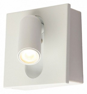 Бра Kink Light Эви 08073,01 в Челябинске - cheliabinsk.ok-mebel.com | фото