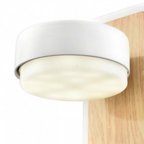 Бра Lumion LELAND 8263/1W в Челябинске - cheliabinsk.ok-mebel.com | фото 9