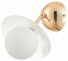 Бра Rivoli Jacqueline Б0066444 в Челябинске - cheliabinsk.ok-mebel.com | фото