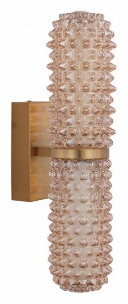 Бра ST-Luce SAGUARO SL6144.301.01 в Челябинске - cheliabinsk.ok-mebel.com | фото
