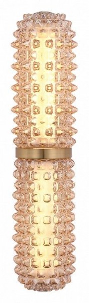 Бра ST-Luce SAGUARO SL6144.301.01 в Челябинске - cheliabinsk.ok-mebel.com | фото 3