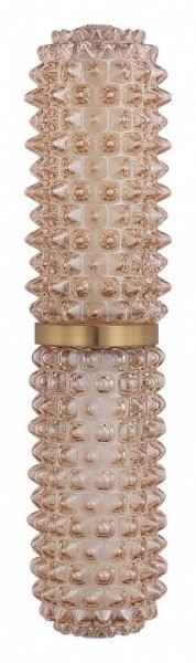 Бра ST-Luce SAGUARO SL6144.301.01 в Челябинске - cheliabinsk.ok-mebel.com | фото 4