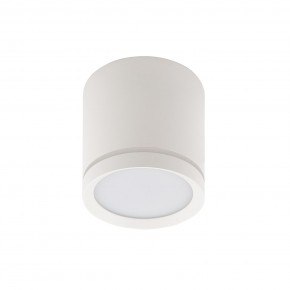 DK4013-WH Светильник накладной IP 20, 5 Вт, LED 4000, белый, алюминий/акрил в Челябинске - cheliabinsk.ok-mebel.com | фото 2