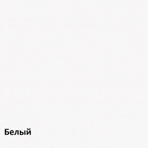 Эйп Шкаф для одежды 13.334 в Челябинске - cheliabinsk.ok-mebel.com | фото 4