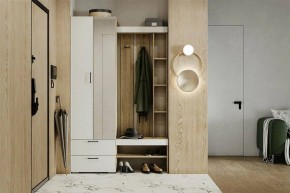 Гарнитур для прихожей Торонто в Челябинске - cheliabinsk.ok-mebel.com | фото 5