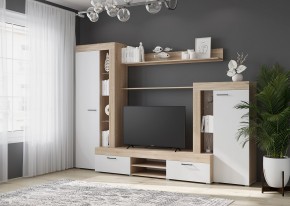 Гостиная Дельта (Сонома/Белый) в Челябинске - cheliabinsk.ok-mebel.com | фото 3