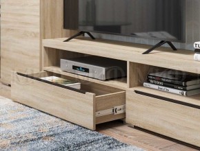 ЭКОЛЬ Гостиная Вариант №3 МДФ (Дуб сонома) в Челябинске - cheliabinsk.ok-mebel.com | фото 2