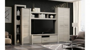 ЭЛИС Гостиная в Челябинске - cheliabinsk.ok-mebel.com | фото 2