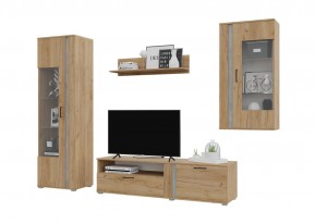 Гостиная Омега (Крафт золотой-Бетон) в Челябинске - cheliabinsk.ok-mebel.com | фото 2