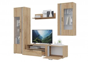 Гостиная Омега (Крафт золотой-Бетон) в Челябинске - cheliabinsk.ok-mebel.com | фото 4