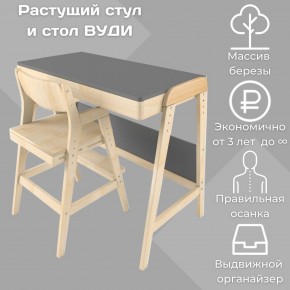 Комплект растущий стол и стул 38 попугаев «Вуди» (Серый, Без покрытия) в Челябинске - cheliabinsk.ok-mebel.com | фото