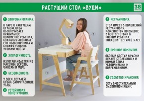 Комплект растущий стол и стул с чехлом 38 попугаев «Вуди» (Серый, Береза, Салют) в Челябинске - cheliabinsk.ok-mebel.com | фото