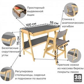 Комплект растущий стол и стул с чехлом 38 попугаев «Вуди» (Серый, Береза, Серый) в Челябинске - cheliabinsk.ok-mebel.com | фото