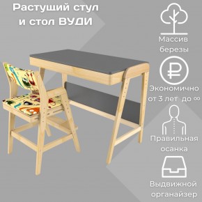 Комплект растущий стол и стул с чехлом 38 попугаев «Вуди» (Серый, Без покрытия, Монстры) в Челябинске - cheliabinsk.ok-mebel.com | фото