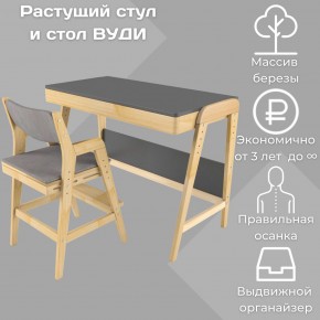 Комплект растущий стол и стул с чехлом 38 попугаев «Вуди» (Серый, Без покрытия, Серый) в Челябинске - cheliabinsk.ok-mebel.com | фото