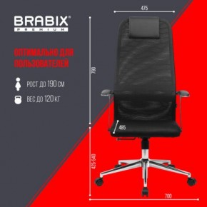 Кресло BRABIX PREMIUM "Ultimate EX-801" хром, плотная двойная сетка Х2, черное, 532917 в Челябинске - cheliabinsk.ok-mebel.com | фото 7