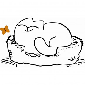 Кровать двухуровневая Кот № 900.1 ПРАВАЯ (туя светлая/белый) в Челябинске - cheliabinsk.ok-mebel.com | фото 2