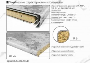 Кухонный фартук со столешницей (А-01) в едином стиле (3050 мм) в Челябинске - cheliabinsk.ok-mebel.com | фото 6