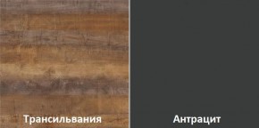 Кухонный гарнитур угловой Трансильвания 2400x1600 мм (Стол. 38 мм) в Челябинске - cheliabinsk.ok-mebel.com | фото 3