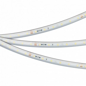 Лента светодиодная Arlight IC-PS-A60-10mm 24V 050656 в Челябинске - cheliabinsk.ok-mebel.com | фото