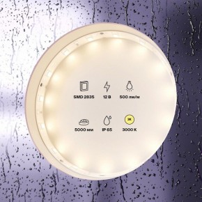 Лента светодиодная Maytoni Led strip 10105 в Челябинске - cheliabinsk.ok-mebel.com | фото 2