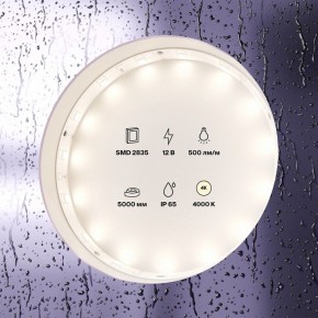 Лента светодиодная Maytoni Led strip 10106 в Челябинске - cheliabinsk.ok-mebel.com | фото 3