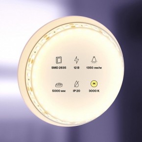 Лента светодиодная Maytoni Led strip 10114 в Челябинске - cheliabinsk.ok-mebel.com | фото 2