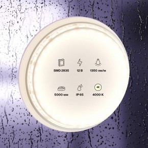 Лента светодиодная Maytoni Led strip 10118 в Челябинске - cheliabinsk.ok-mebel.com | фото 2