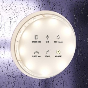 Лента светодиодная Maytoni Led strip 10124 в Челябинске - cheliabinsk.ok-mebel.com | фото 3