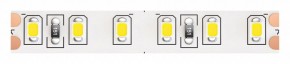Лента светодиодная Maytoni Led strip 10146 в Челябинске - cheliabinsk.ok-mebel.com | фото