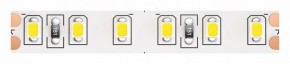 Лента светодиодная Maytoni Led strip 10153 в Челябинске - cheliabinsk.ok-mebel.com | фото