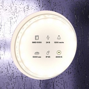 Лента светодиодная Maytoni Led strip 10172 в Челябинске - cheliabinsk.ok-mebel.com | фото 2