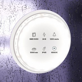 Лента светодиодная Maytoni Led strip 10173 в Челябинске - cheliabinsk.ok-mebel.com | фото 2