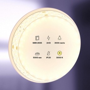 Лента светодиодная Maytoni Led strip 20031 в Челябинске - cheliabinsk.ok-mebel.com | фото 2