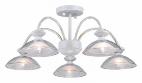 Люстра на штанге Arti Lampadari Noventa Noventa E 1.1.5 W в Челябинске - cheliabinsk.ok-mebel.com | фото