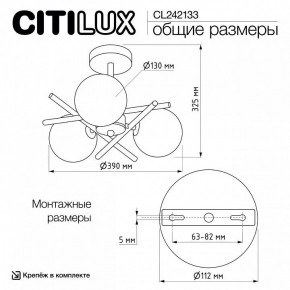 Люстра на штанге Citilux Ronny CL242133 в Челябинске - cheliabinsk.ok-mebel.com | фото 7