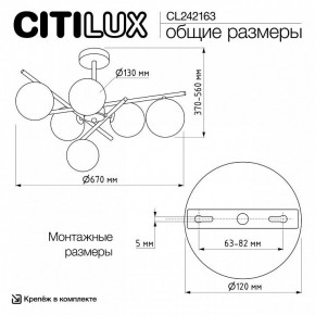 Люстра на штанге Citilux RONNY CL242163 в Челябинске - cheliabinsk.ok-mebel.com | фото 12