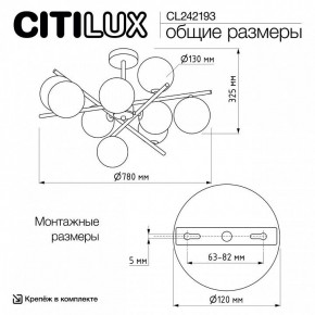 Люстра на штанге Citilux Ronny CL242193 в Челябинске - cheliabinsk.ok-mebel.com | фото 8