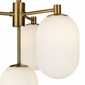 Люстра на штанге Freya Sharlot FR1012PL-04BS в Челябинске - cheliabinsk.ok-mebel.com | фото 4