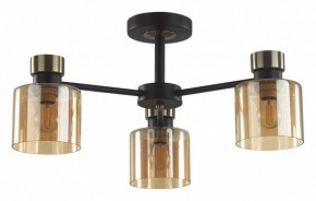 Люстра на штанге Lumion ARLIN 5643/3C в Челябинске - cheliabinsk.ok-mebel.com | фото