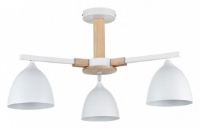 Люстра на штанге Lumion Colange 8095/3C в Челябинске - cheliabinsk.ok-mebel.com | фото