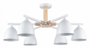 Люстра на штанге Lumion Colange 8095/6C в Челябинске - cheliabinsk.ok-mebel.com | фото