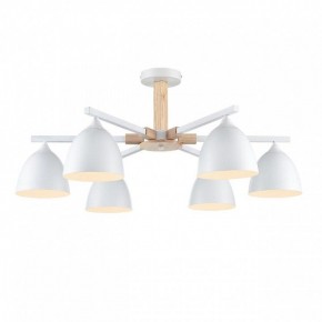 Люстра на штанге Lumion Colange 8095/6C в Челябинске - cheliabinsk.ok-mebel.com | фото 2