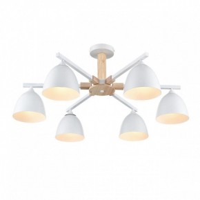 Люстра на штанге Lumion Colange 8095/6C в Челябинске - cheliabinsk.ok-mebel.com | фото 3